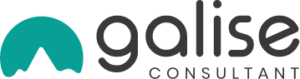 Logo Galise Consultant